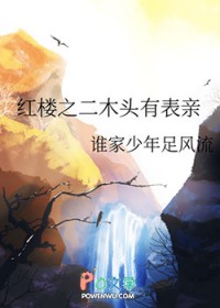 [红楼梦同人] 红楼之二木头有表亲