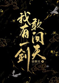 我有一剑敢问天