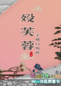 殁芙蓉（武侠np）